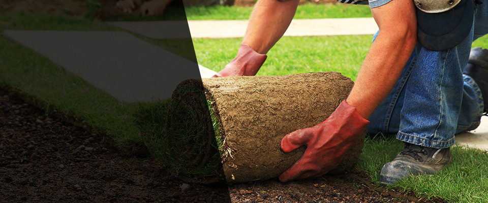 Belzoni Landscapers
